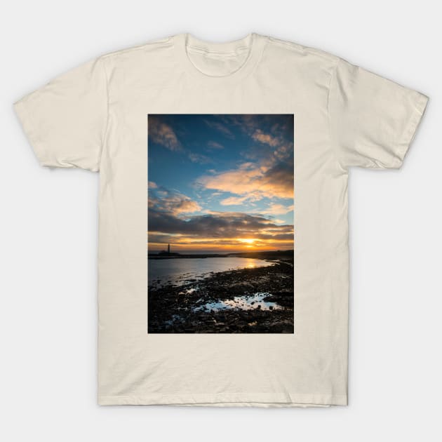 January sunrise T-Shirt by Violaman